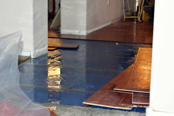 Professional Water Damage Restoration technician working in Foster, RI